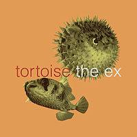 Tortoise : In the Fishtank